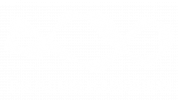 The Future Foundation